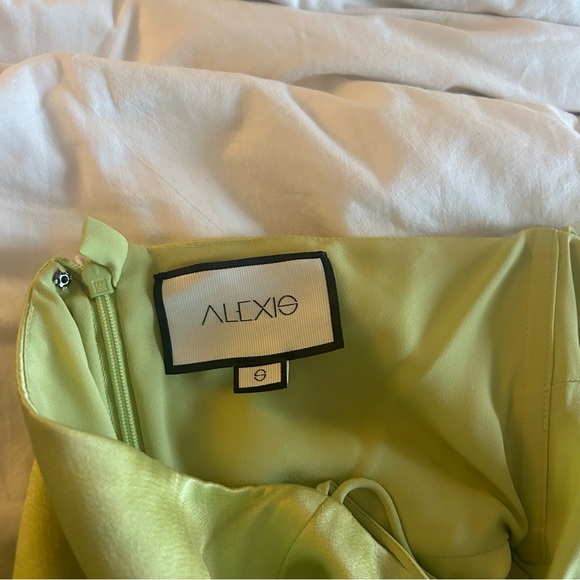 Alexis Saab dress, size small, green. Excellent condition, similar to Sunniva - Picture 6 of 13